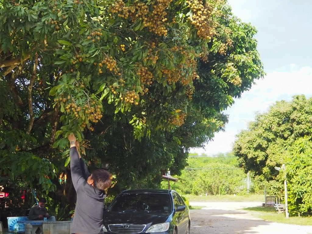 ホテルNavy Garden チャンセーン エクステリア 写真